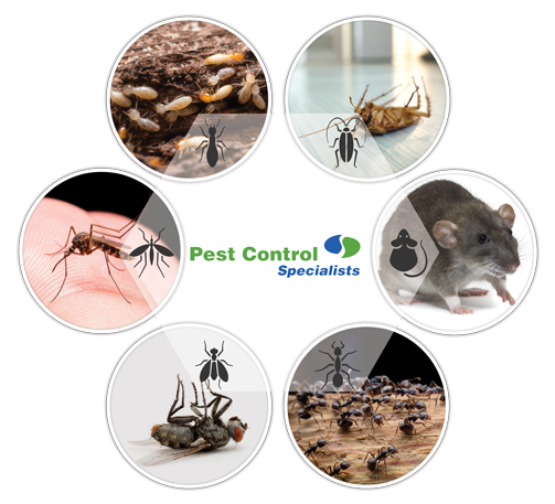 Pest Control